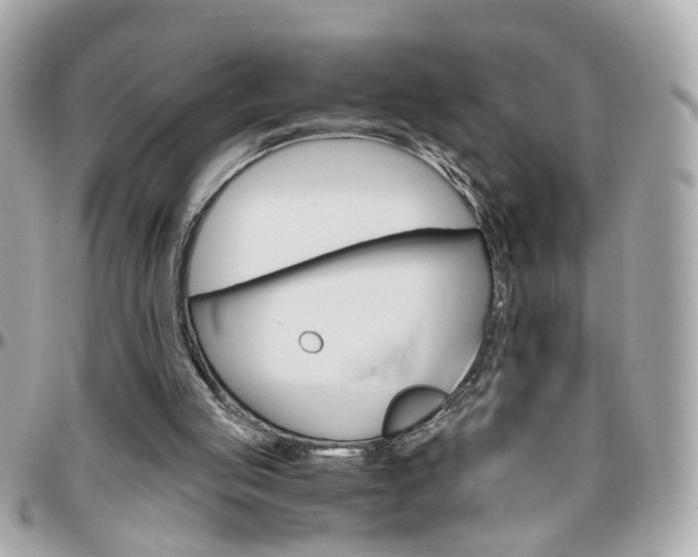 X0000096440053200801241127