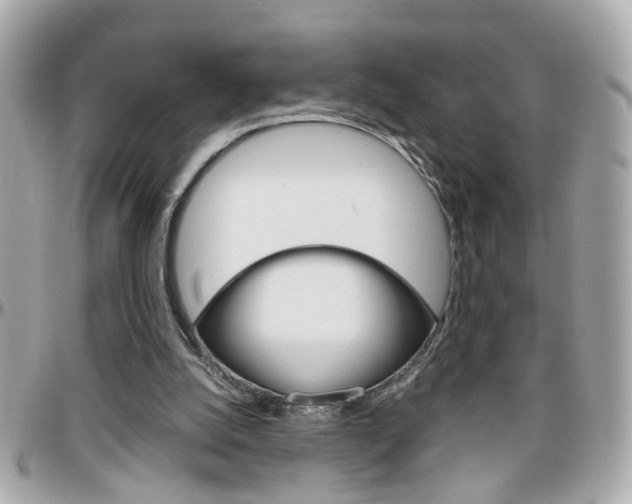 X0000096440056200801241127