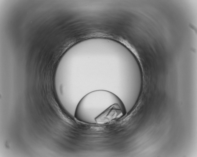 X0000096440057200801241127