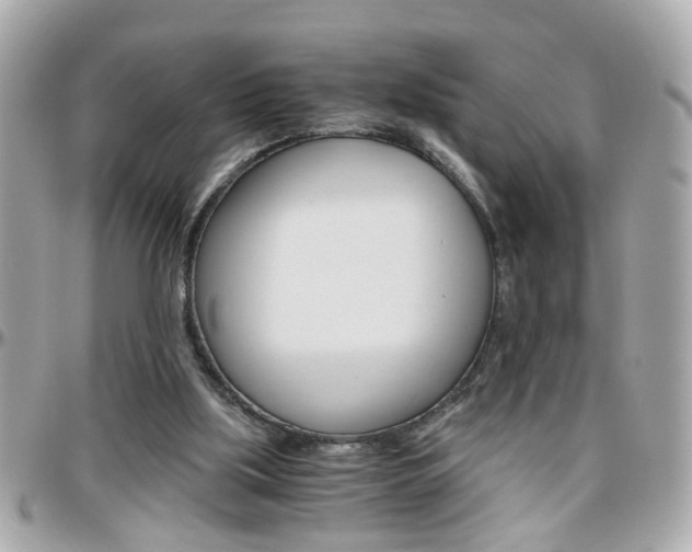 X0000096440059200801241127