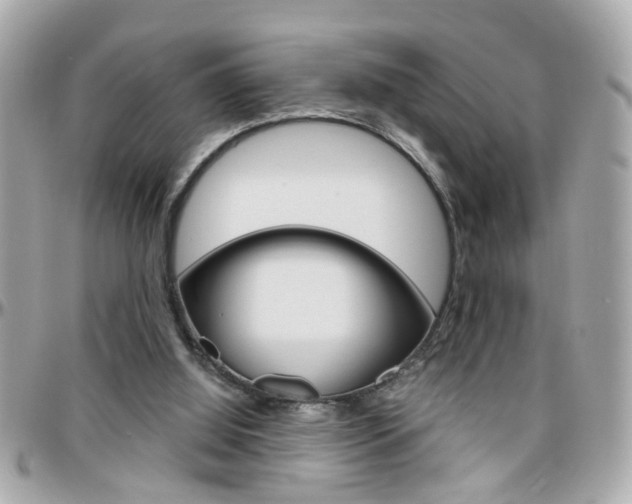 X0000096440060200801241127
