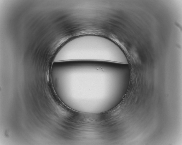 X0000096440062200801241127
