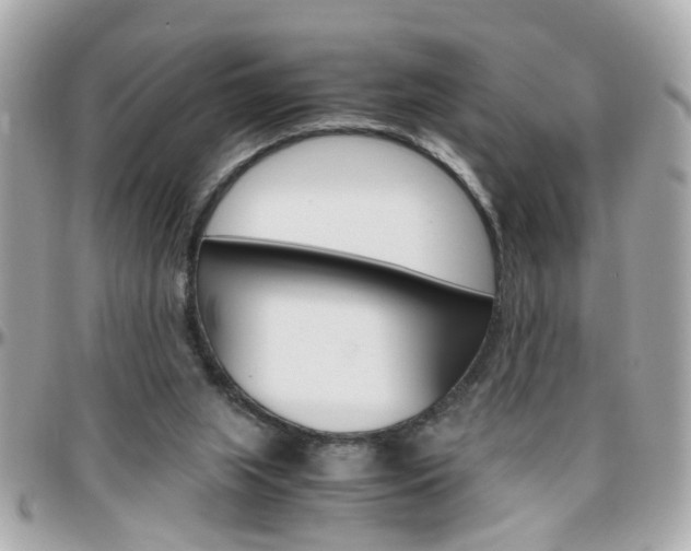 X0000096440063200801241127