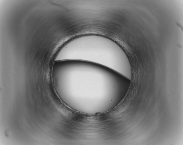 X0000096440064200801241127
