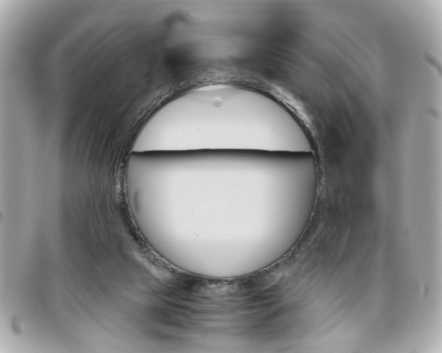 X0000096440065200801241127