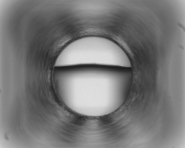 X0000096440066200801241127