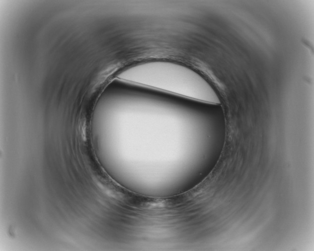 X0000096440068200801241127