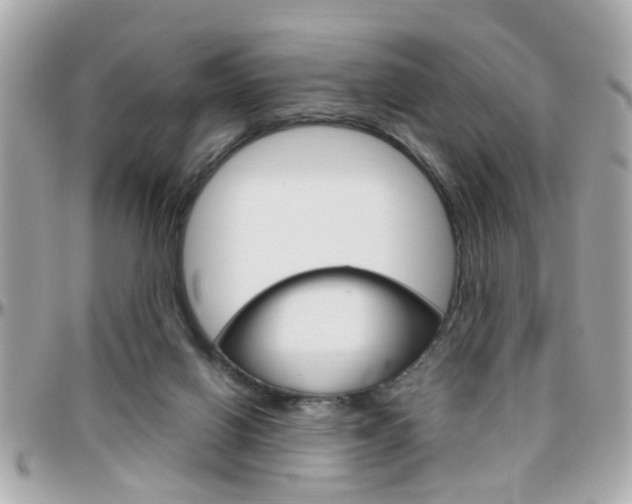 X0000096440070200801241127