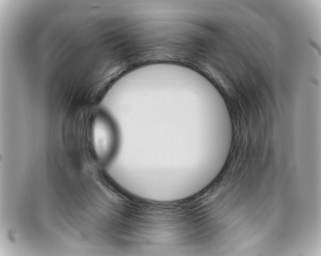 X0000096440072200801241127