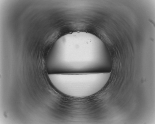 X0000096440077200801241127