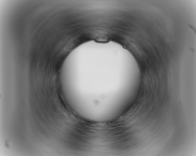 X0000096440079200801241127