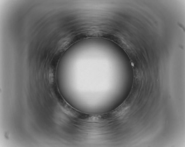 X0000096440080200801241127