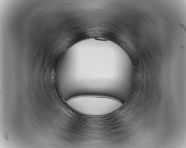 X0000096440081200801241127