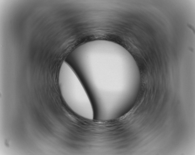 X0000096440082200801241127