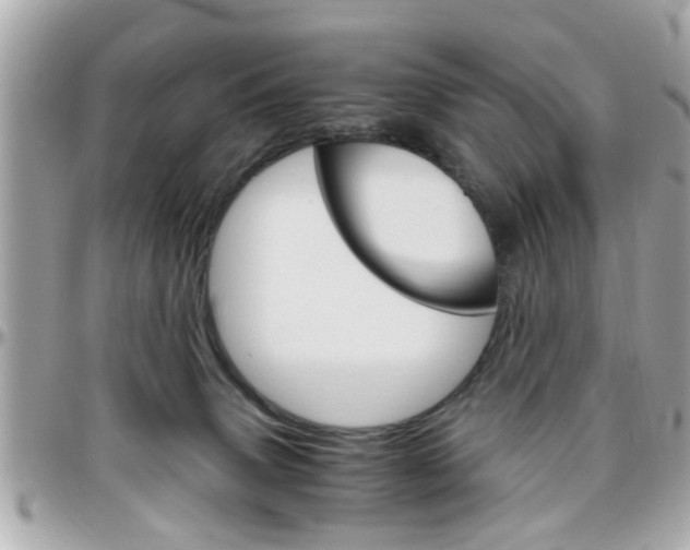 X0000096440083200801241127