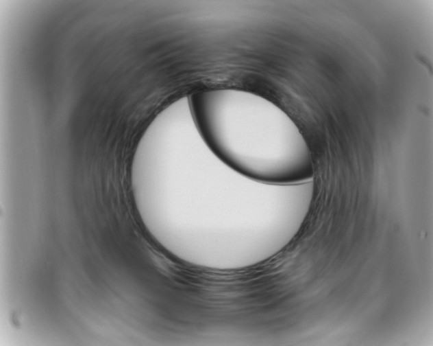 X0000096440085200801241127