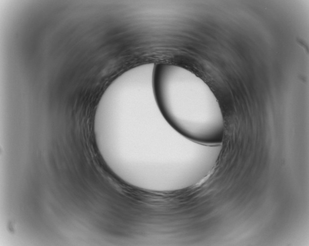 X0000096440086200801241127