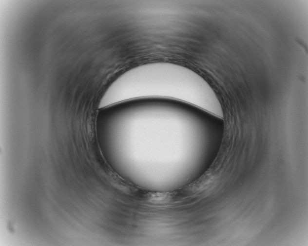 X0000096440088200801241127