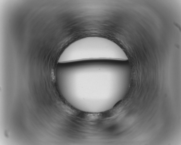 X0000096440089200801241127