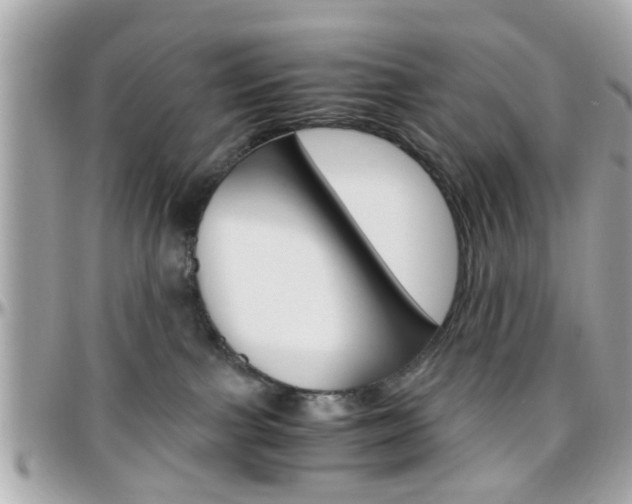 X0000096440091200801241127