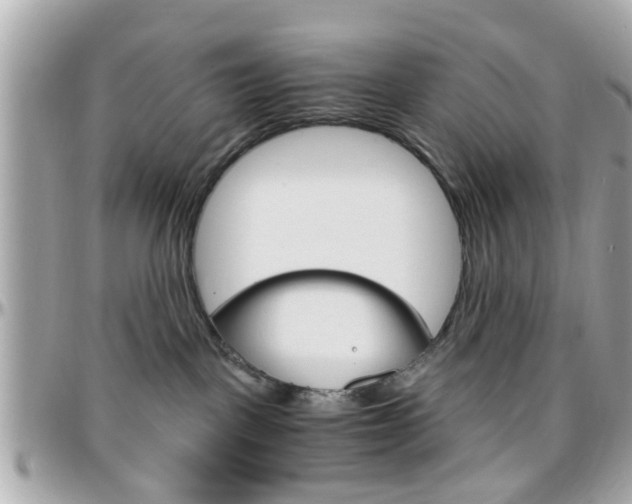 X0000096440093200801241127