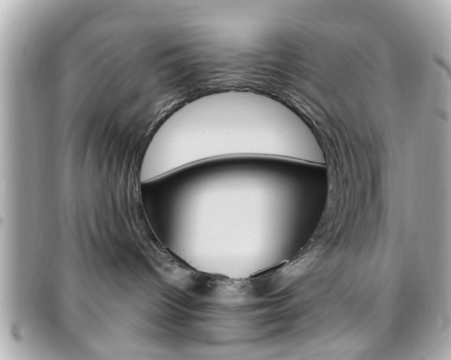 X0000096440096200801241127