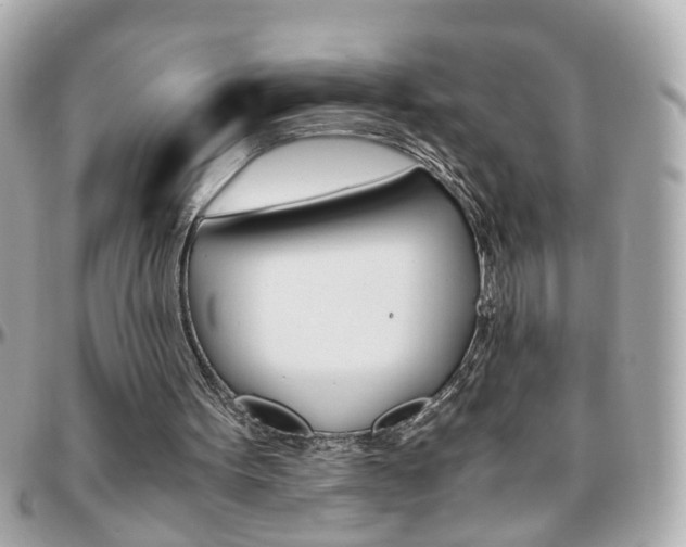 X0000096440099200801241127