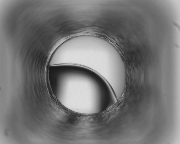 X0000096440100200801241127