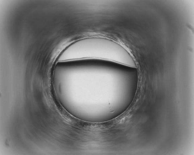 X0000096440103200801241127