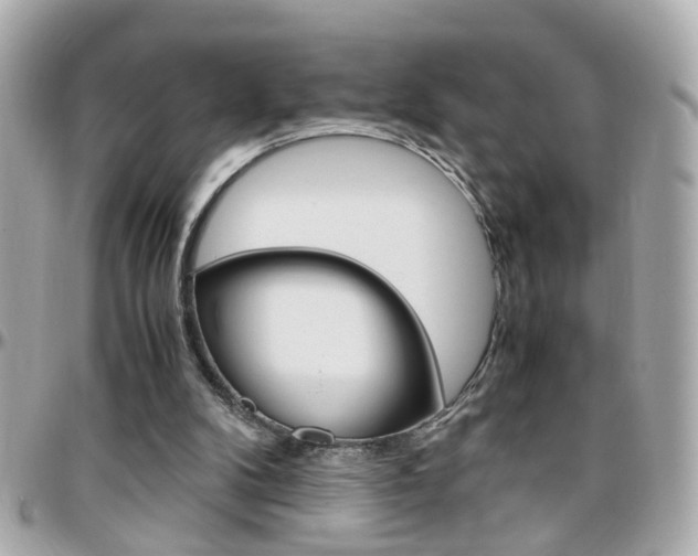 X0000096440104200801241127