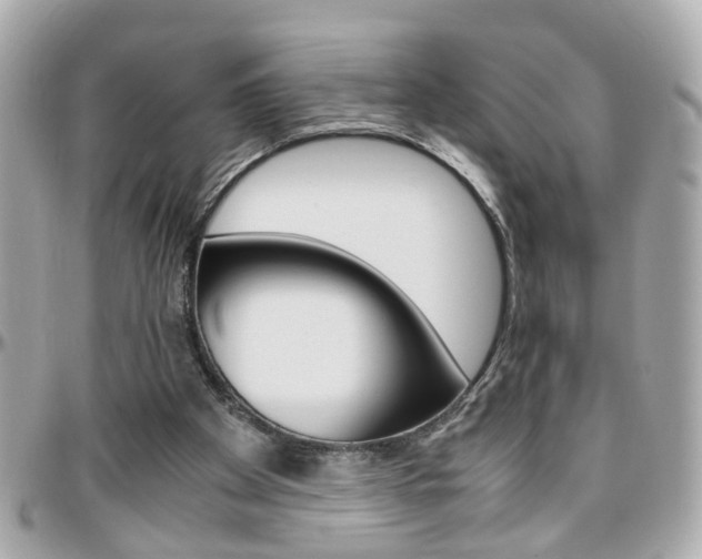 X0000096440105200801241127