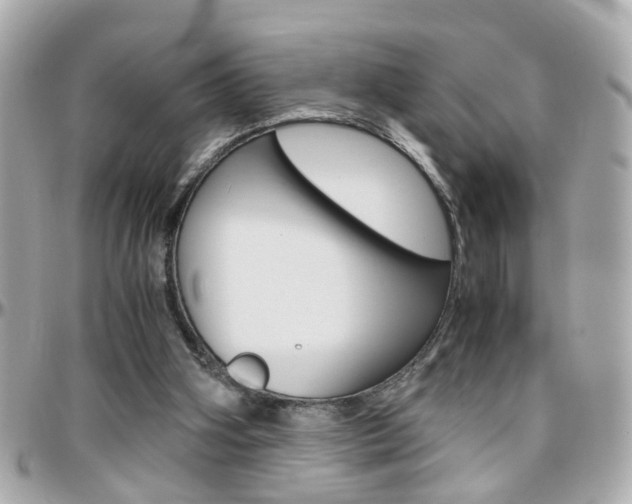 X0000096440106200801241127
