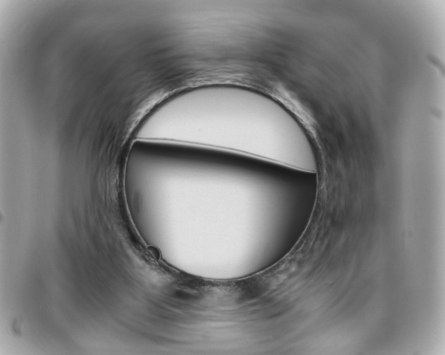 X0000096440107200801241127