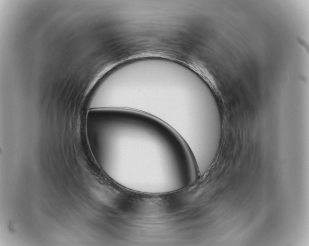 X0000096440108200801241126