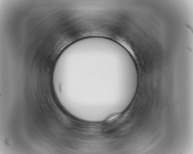 X0000096440109200801241126