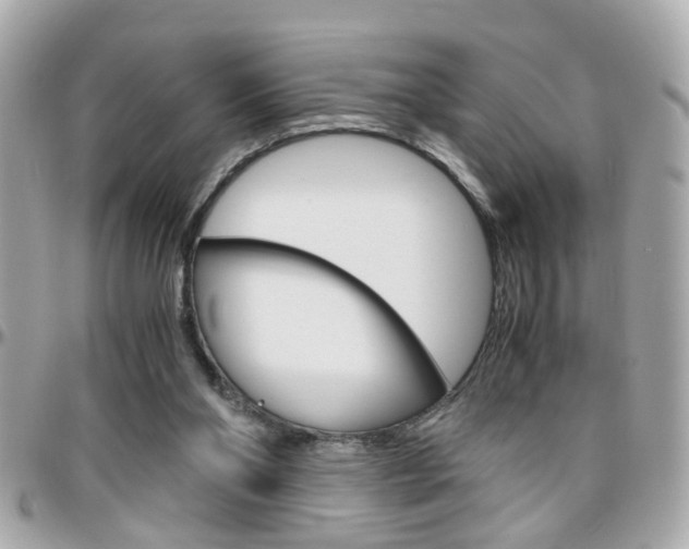 X0000096440110200801241126