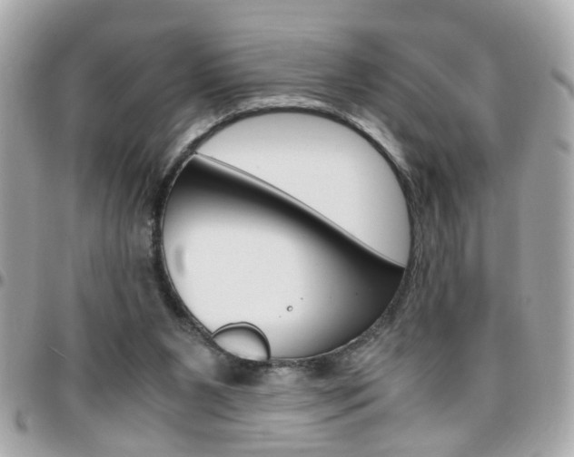 X0000096440111200801241126