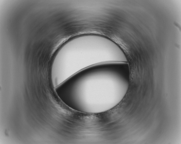 X0000096440112200801241126