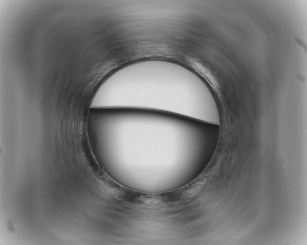 X0000096440113200801241126