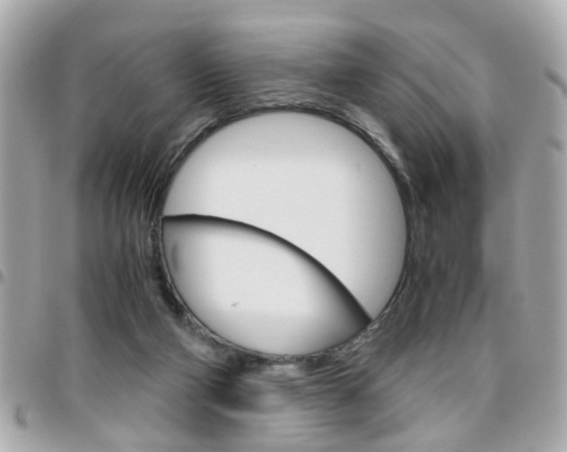 X0000096440114200801241126