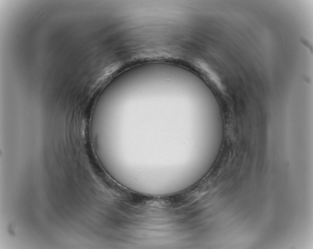 X0000096440115200801241126