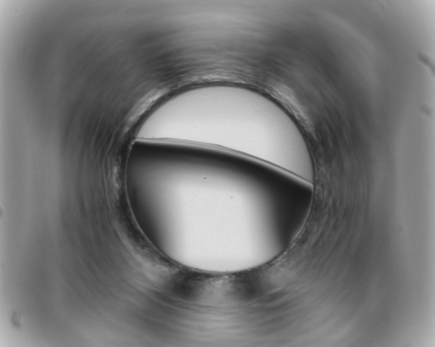 X0000096440116200801241126