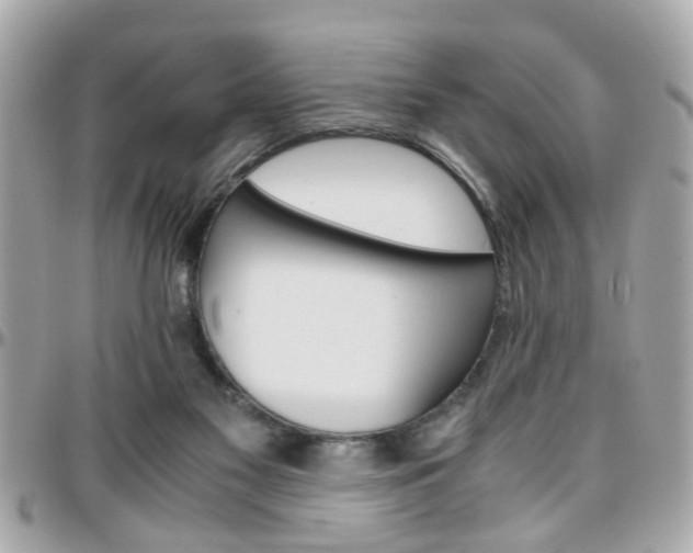 X0000096440117200801241126