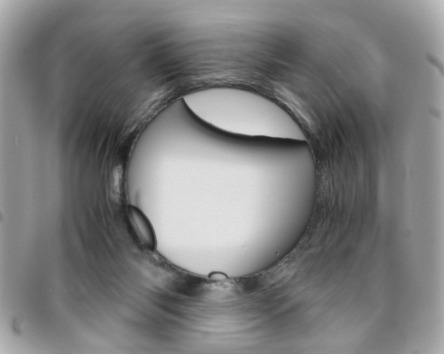 X0000096440118200801241126