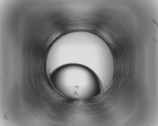 X0000096440120200801241126