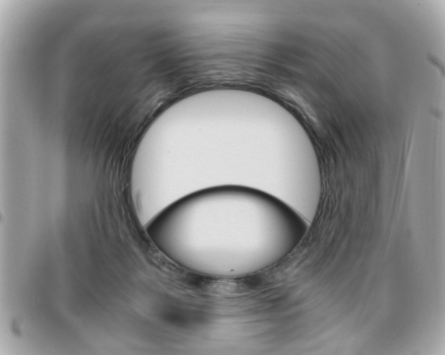 X0000096440123200801241126