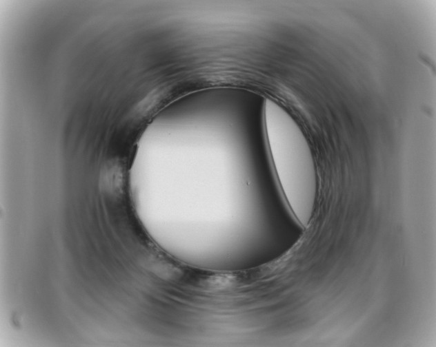 X0000096440124200801241126