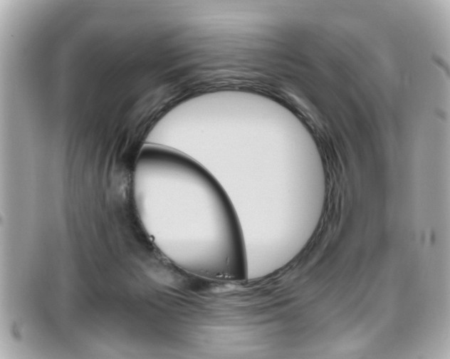 X0000096440125200801241126