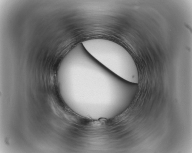 X0000096440126200801241126