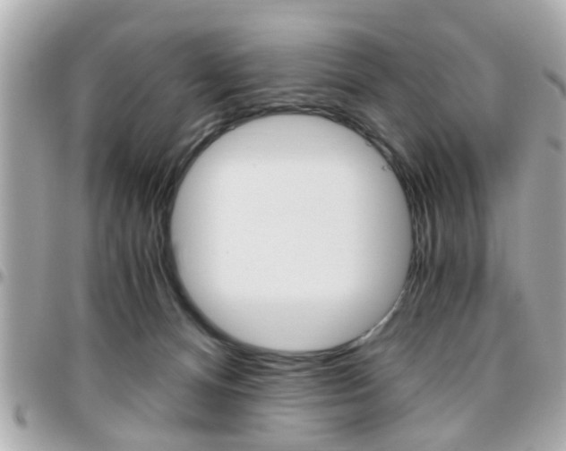 X0000096440128200801241126